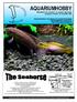 AQUARIUMHOBBY Maandblad voor zoetwater- en zeewater aquarianen Jaargang 4, nummer 10, november 2005 y