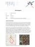 Briefrapport. quick scan flora en fauna renovatie woonzorgcentrum Sancta Maria