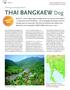 Onlangs voorlopig erkend Thai Bangkaew Dog. Nieuw ras