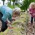 vanaf 9 jaar SPEURTOCHT kijken en speuren door de STALLEN EN TUINEN Paleis Het Loo