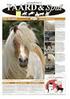 Praktijkcase Samen Winnen Paardensport Paardensport Nuth. Datum: 29-09-2015 Auteur: Cristan Segers, Huis voor de Sport Limburg