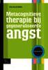 Metacognitieve therapie voor Gegeneraliseerde Angst Stoornis. Colin van der Heiden. Workshop VGCt Najaarsconferentie 7 november 2012
