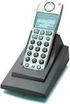 Draadloze DECT telefoon (GAP) Gebruiksaanwijzing. Euro 802