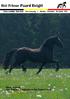 Het Friese Paard België