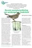Recente aantalontwikkeling van weidevogels in Nederland