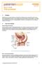 Figuur 1: Anatomie van het mannelijk voortplantingssysteem