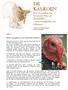 DE KALKOEN Een verzameling van historische feiten en opmerkelijke wetenswaardigheden over kalkoenen