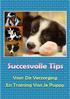 Succesvolle tips voor de verzorging en training van je puppy