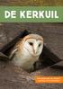 DE KERKUIL. Informatieboekje voor kinderen + spelletjes om te downloaden
