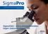 SigmaPro. Praktische info voor de Professionele Schilder Januari 2008 - nr 13. SigmaCare : extra preventiemiddel tegen ziekenhuisbacteriën