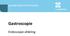 Gastroscopie. Endoscopie-afdeling