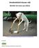 Hondenbeleid nieuwe stijl BIJLAGE: De status quo (2013)