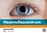Welkom in het. Hoornvliescentrum VAN DE UNIVERSITEITSKLINIEK VOOR OOGHEELKUNDE MAASTRICHT