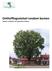 Ontheffingsstelsel rondom bomen Interne evaluatie van gemeente Deurne