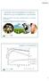 Verkorten van de droogstand van melkvee: effecten op de energiebalans en gezondheid