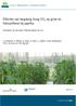 Effecten van langdurig hoog CO 2 op groei en fotosynthese bij paprika
