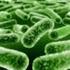 Schimmelinfectie Weg Stappenplan. In 3 Stappen Candida de Baas Worden