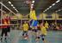 Antwerpse Volleybal Federatie v.z.w. Mgr. Cruysberghslaan 34-2450 Meerhout