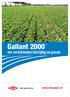 Gallant 2000TM. voor een betrouwbare bestrijding van grassen.