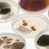 BEROEPSPROFIEL ARTS-MICROBIOLOOG. Nederlandse Vereniging voor Medische Microbiologie