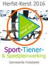 Herfst-Kerst 2016. vanaf 10/9. Inschrijven. in.holsbeek.be. Sport- Tiener- & Speelpleinwerking. Gemeente Holsbeek