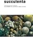 Nederlands Belgische vereniging van liefhebbers van cactussen en andere vetplanten. In dit nummer: Adressen 14. Uit het bestuur 15