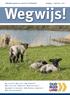 Wegwijs! Halfjaarlijks magazine voor senioren in Oud-Beijerland Jaargang 4 April 2014 Nr. 7