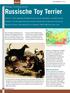 Russische Toy Terrier