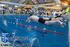 Swim Cup Eindhoven 2015 NK zwemmen 2015 Pieter van den Hoogenband zwemstadion 2 tot en met 5 april 2015