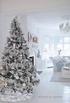 Dreaming of a white Christmas? Preek voor de vierde adventszondag 2008 (25 kislev Tevet 5769 / december 2008)