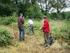 HOUT UIT LANDSCHAPSONDERHOUD