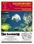 AQUARIUMHOBBY Maandblad voor zoetwater- en zeewater aquarianen Jaargang 4, nummer 2, februari 2005