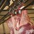 Garantiesysteem Tracering SKV-Vleeskalveren