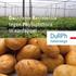 Duurzame Resistentie tegen Phytophthora in aardappel. DuRPh. halverwege