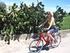 M allorca. Begeleide fietsvakanties. Playa de Palma. voor recreanten en sportievelingen. Steeds uitgebreid fietspakket inbegrepen.