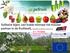 Solitaire bijen: van koele minnaar tot trouwe partner in de fruitteelt, Agrolink workshop 04/05/2016