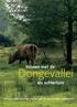 Wonen met de. Dongevallei als achtertuin. 14 royale Vallei-woningen aan de rand van een prachtig natuurgebied