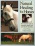 The Equine Guide to Natural Health