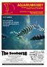 AQUARIUMHOBBY Maandblad voor zoetwater- en zeewater aquarianen Jaargang 3, nummer 11, december 2004