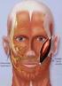 Chirurgische behandelmogelijkheden. een aangezichtsverlamming