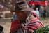 BOLIVIA : DE OVERSTEEK VAN DE ANDES