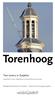 Torenhoog. Tien torens in Zutphen. Lessenserie voor onderbouw en bovenbouw havo/vwo. Werkgroep Bouwhistorie Zutphen Historische Vereniging Zutphen