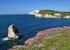 Engeland - Isle of Wight, 8 dagen 100% wandelen vanuit Freshwater Bay, lichte groepswandelvakantie vanuit HF Freshwater Bay House