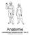 Anatomie Lesmateriaal lesbijeenkomst 4 (les 2) Uit Wikipedia, de vrije encyclopedie