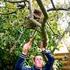 Bomen als vak en als hobby