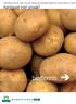 Verkenning naar de markt voor een biologische aardappel welke zich onderscheidt op smaak. Aardappel met smaak?