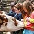 WANNEER KOM JIJ OP BOERDERIJBEZOEK? LANDBOUWEDUCATIE VOOR KLEUTER- EN LAGER ONDERWIJS