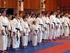 Taekwondo termen. t.b.v. Dan-examens