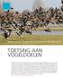 vogeldoelen Foto: Eric van der Aa T O E T S