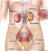 Women with recurrent urinary tract infections: antibiotic resistance and non-antibiotic prophylaxis Beerepoot, M.A.J.